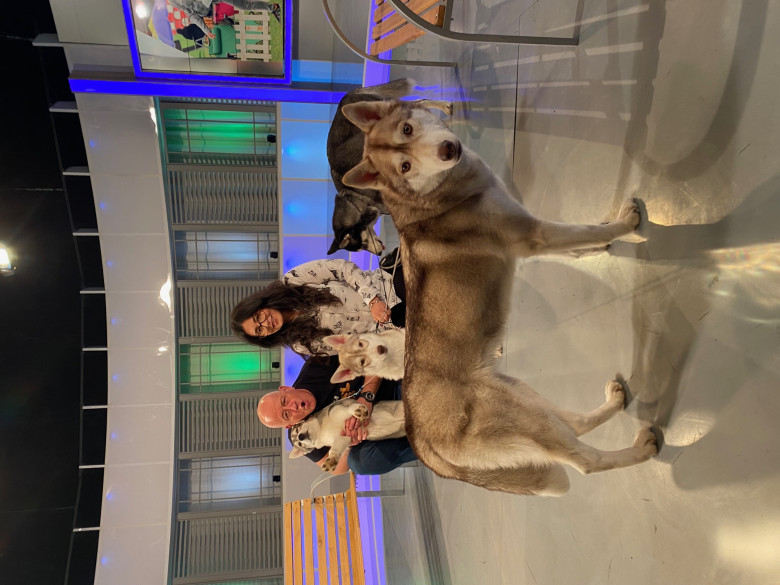 Digi Animal Club HUSKY Sabrina Camarda 27