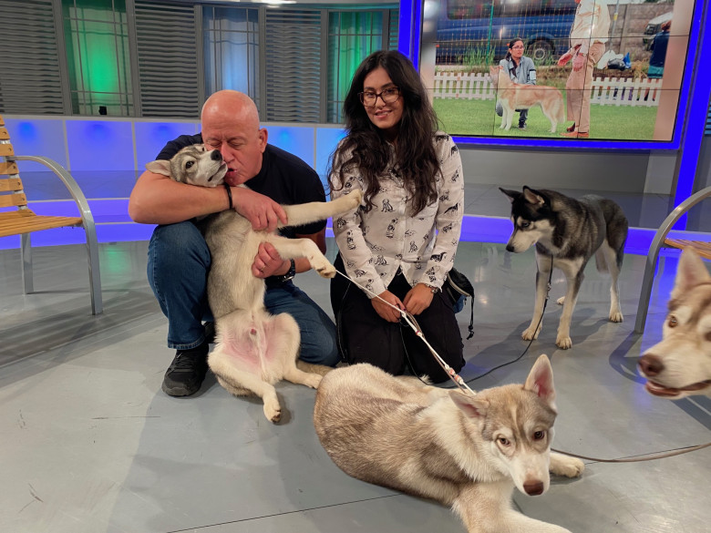 Digi Animal Club HUSKY Sabrina Camarda 28