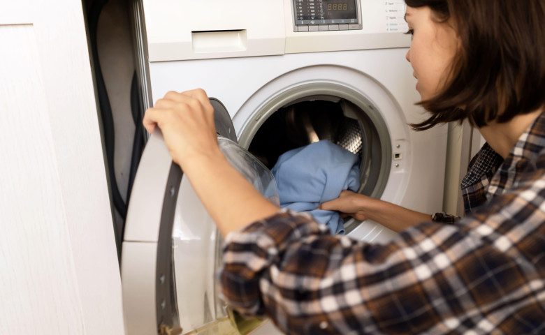 Pisic&abreve; &icirc;n mașin&abreve; de sp&abreve;lat&sol; Profimedia