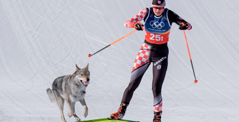 Un câine şi-a făcut apariţia pe pârtia de la Val di Fiemme/ Profimedia