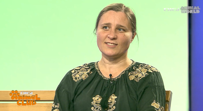 Digi Animal Club CARPATIN DOBRE 2