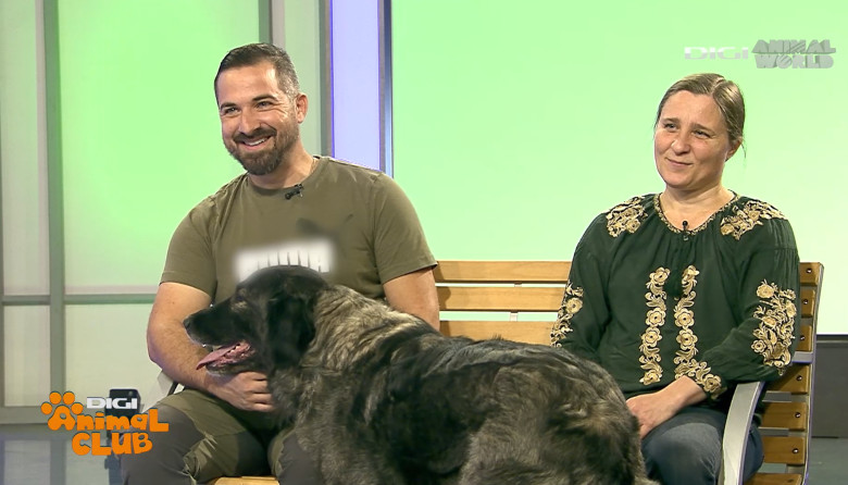 Digi Animal Club CARPATIN DOBRE 5