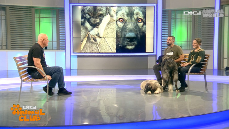 Digi Animal Club CARPATIN DOBRE 9