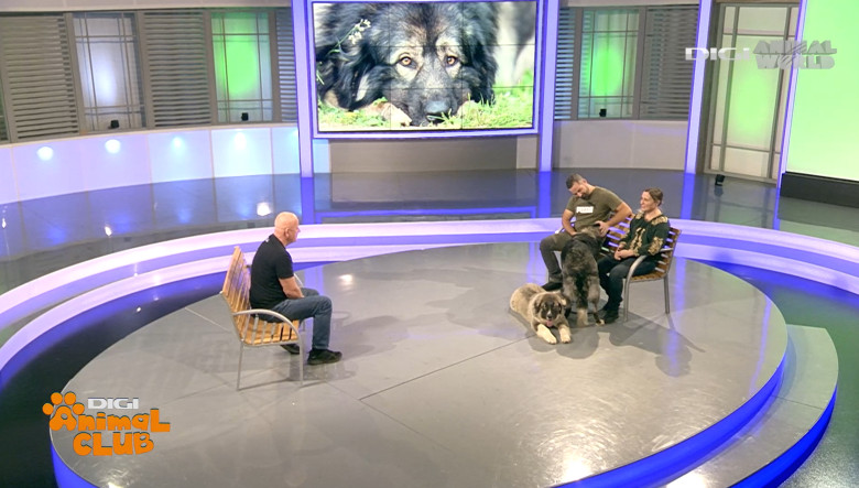 Digi Animal Club CARPATIN DOBRE 11