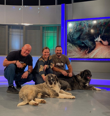 WhatsApp Image 2026-02-13 at 15.15.12