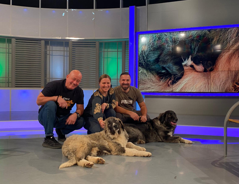 WhatsApp Image 2026-02-13 at 15.15.12