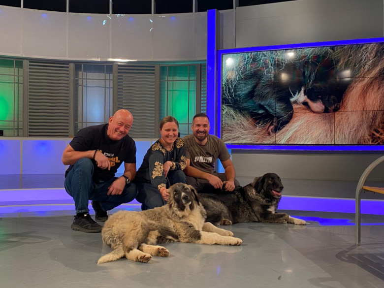 WhatsApp Image 2026-02-13 at 15.15.12