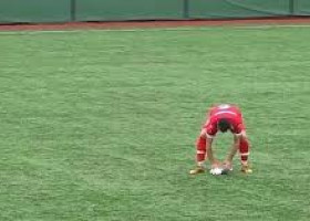 Un pescăruş lovit de minge la un meci de amatori din Tucia, resuscitat pe gazon de un jucător/ Foto: Captură video