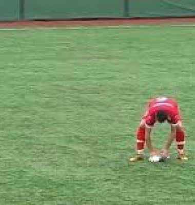 Un pescăruş lovit de minge la un meci de amatori din Tucia, resuscitat pe gazon de un jucător/ Foto: Captură video