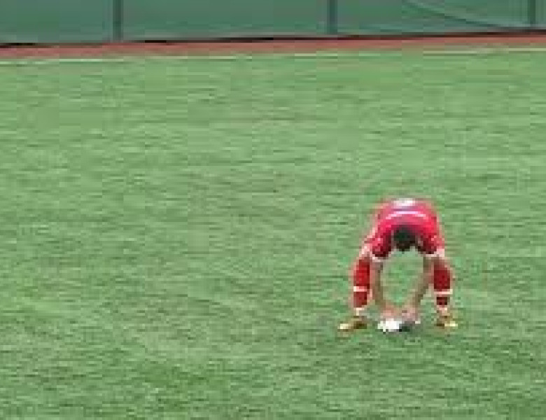 Un pescăruş lovit de minge la un meci de amatori din Tucia, resuscitat pe gazon de un jucător/ Foto: Captură video