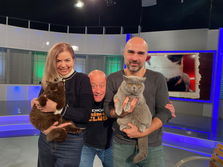 Digi Animal Club British Dumitriu - Pisicile mame