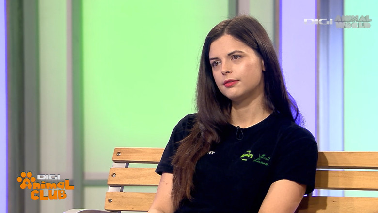 Digi Animal Club Animalele din zona urbana Visul Luanei 7