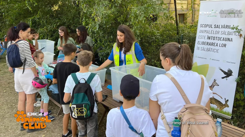 Digi Animal Club Animalele din zona urbana Visul Luanei 5