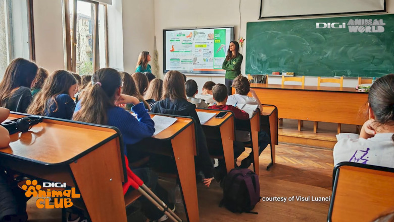 Digi Animal Club Animalele din zona urbana Visul Luanei 14