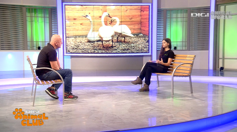 Digi Animal Club Animalele din zona urbana Visul Luanei 18