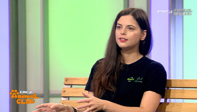 Digi Animal Club Animalele din zona urbana Visul Luanei