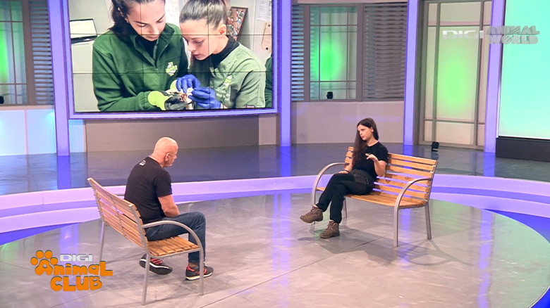 Digi Animal Club Animalele din zona urbana Visul Luanei 2