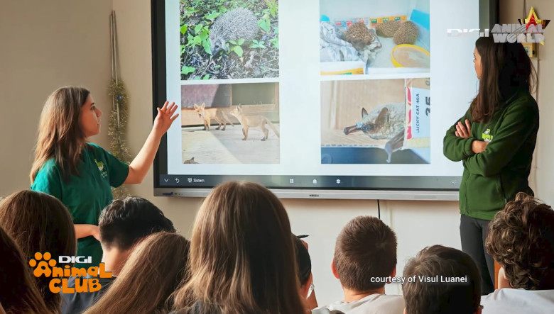 Digi Animal Club Animalele din zona urbana Visul Luanei 3