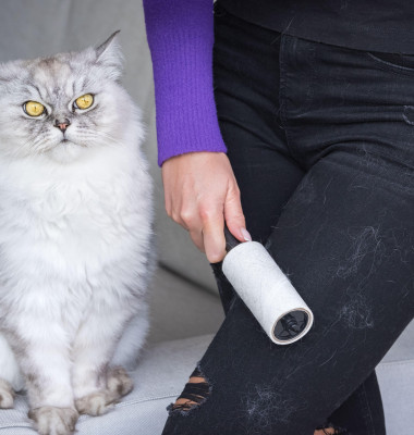 Cum să scapi rapid de părul de animale de pe haine/ Profimedia