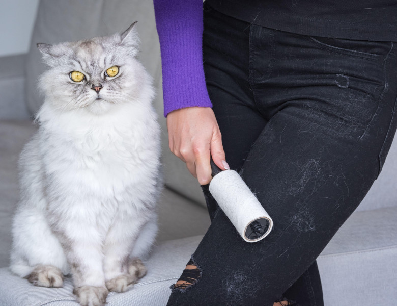 Cum să scapi rapid de părul de animale de pe haine/ Profimedia