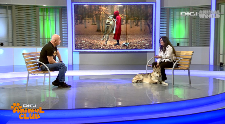 Digi Animal Club Lup Ceh Sabrina Camarda 22