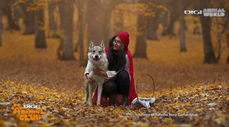 Digi Animal Club Lup Ceh Sabrina Camarda 23