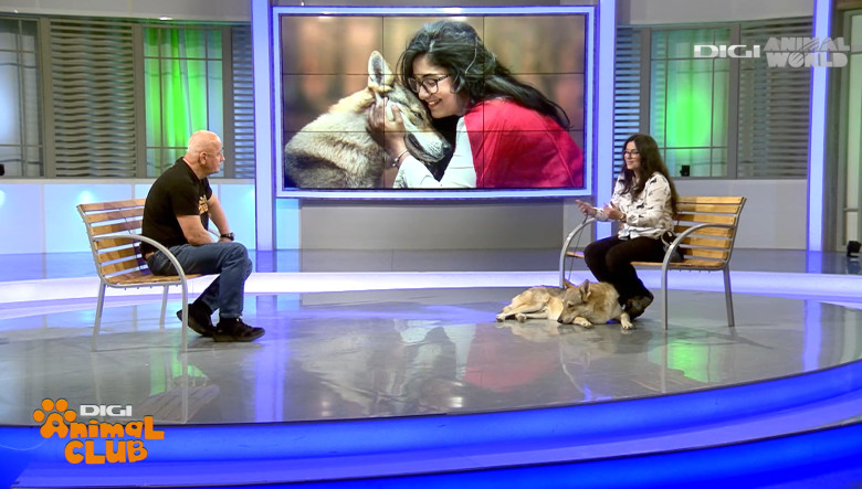 Digi Animal Club Lup Ceh Sabrina Camarda