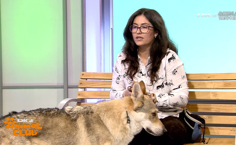 Digi Animal Club Lup Ceh Sabrina Camarda 3