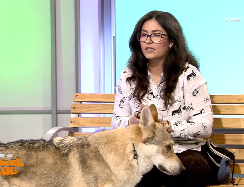 Digi Animal Club Lup Ceh Sabrina Camarda 3