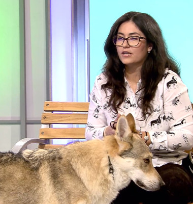 Digi Animal Club Lup Ceh Sabrina Camarda 3