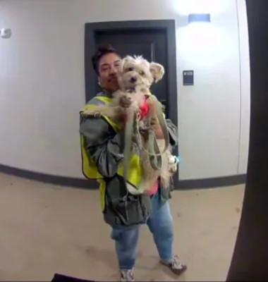 Un câine mergea în fiecare seară la muncă alături de stăpâna lui/ Foto: Captură video