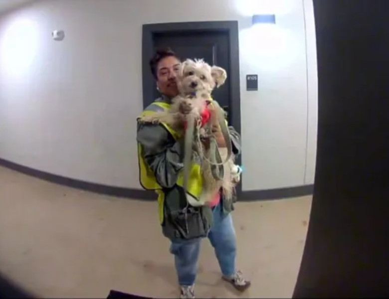 Un câine mergea în fiecare seară la muncă alături de stăpâna lui/ Foto: Captură video