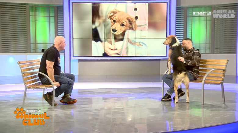 Digi Animal Club Fizioterapie Dr Mocanu