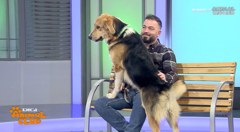 Digi Animal Club Fizioterapie Dr Mocanu 2