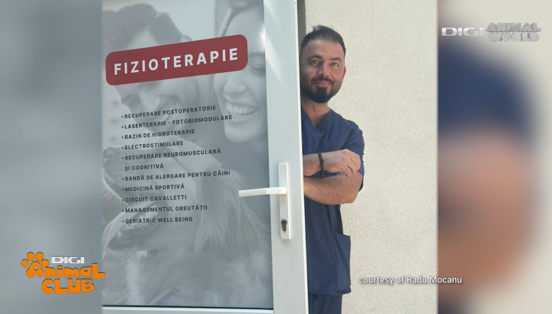 Digi Animal Club Fizioterapie Dr Mocanu 10