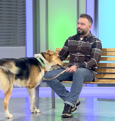 Digi Animal Club Fizioterapie Dr Mocanu 7