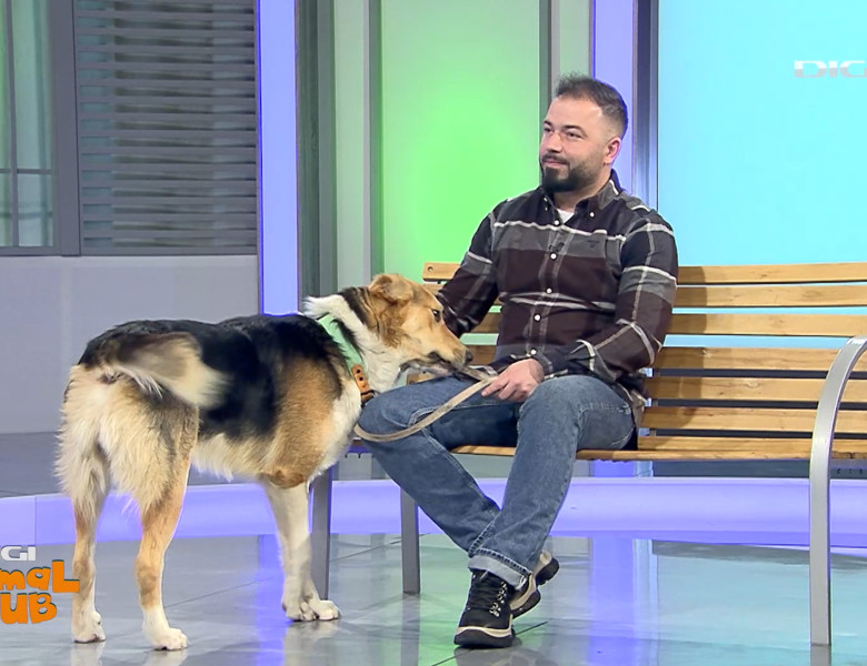 Digi Animal Club Fizioterapie Dr Mocanu 7