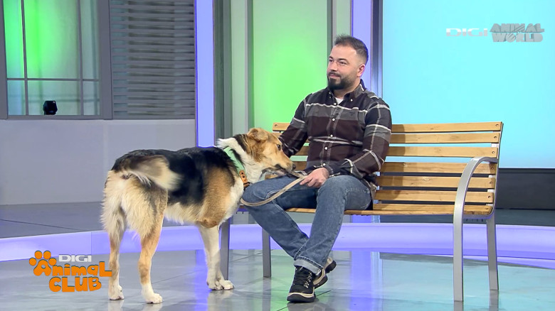 Digi Animal Club Fizioterapie Dr Mocanu 7