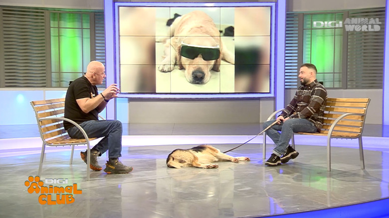 Digi Animal Club Fizioterapie Dr Mocanu 8