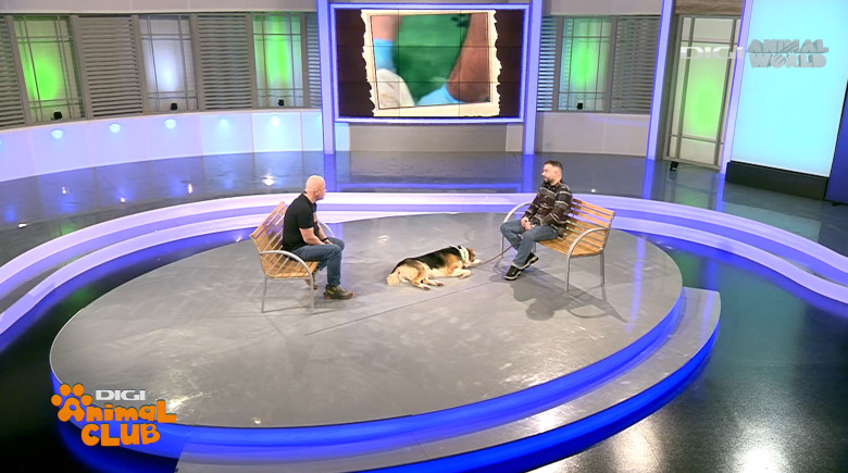 Digi Animal Club Fizioterapie Dr Mocanu 12