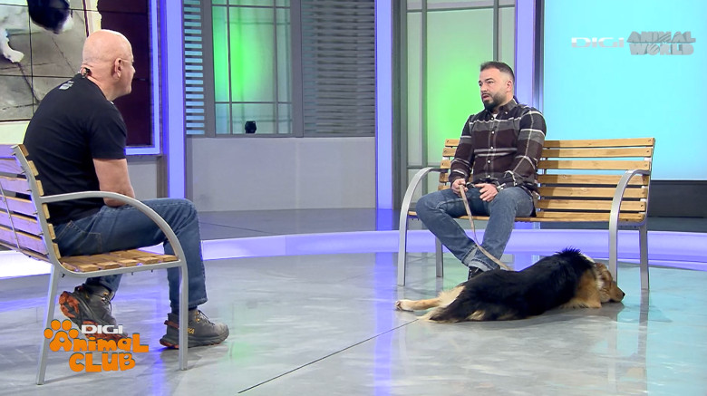 Digi Animal Club Fizioterapie Dr Mocanu 14