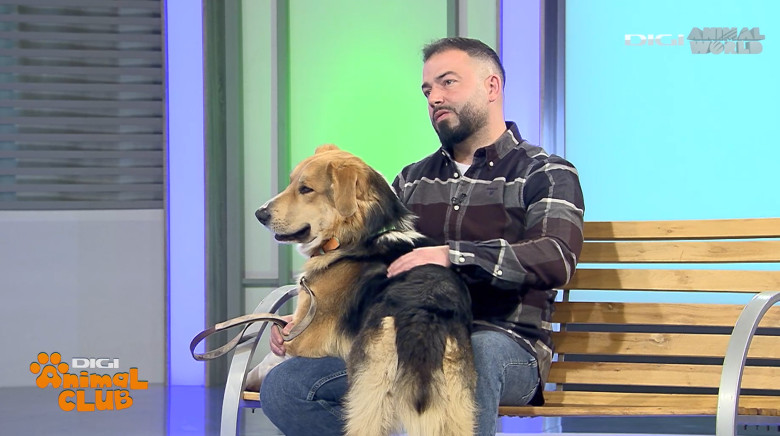 Digi Animal Club Fizioterapie Dr Mocanu 16