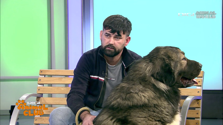 Digi Animal Club Caucazian Ciprian Anghelache 1