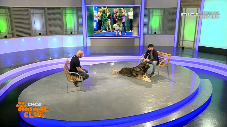 Digi Animal Club Caucazian Ciprian Anghelache 2