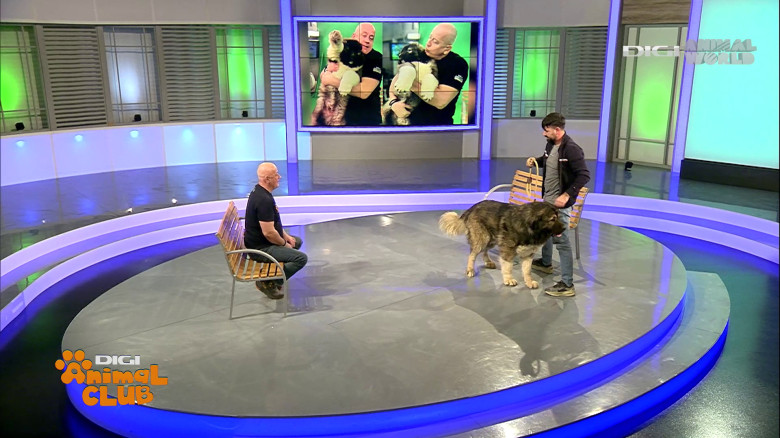 Digi Animal Club Caucazian Ciprian Anghelache 8