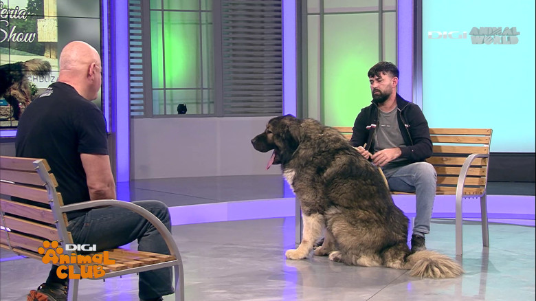 Digi Animal Club Caucazian Ciprian Anghelache 13