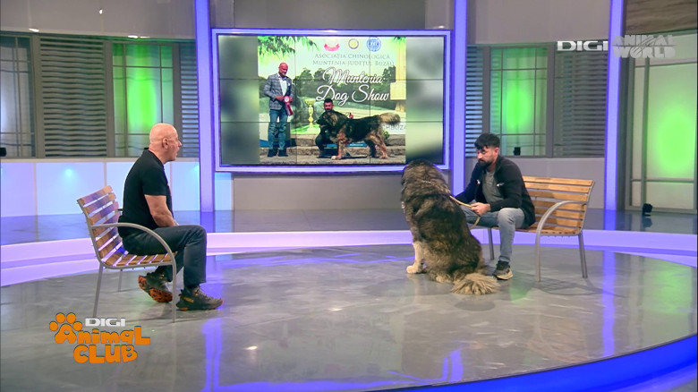 Digi Animal Club Caucazian Ciprian Anghelache 14