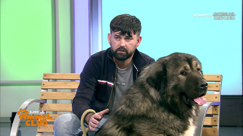 Digi Animal Club Caucazian Ciprian Anghelache 16