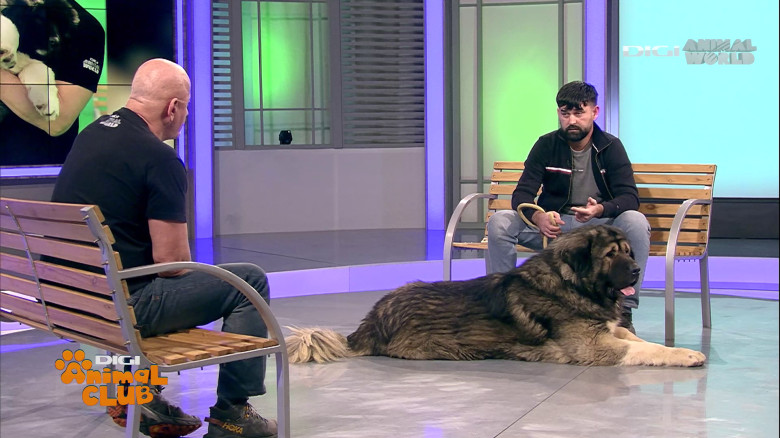 Digi Animal Club Caucazian Ciprian Anghelache 18