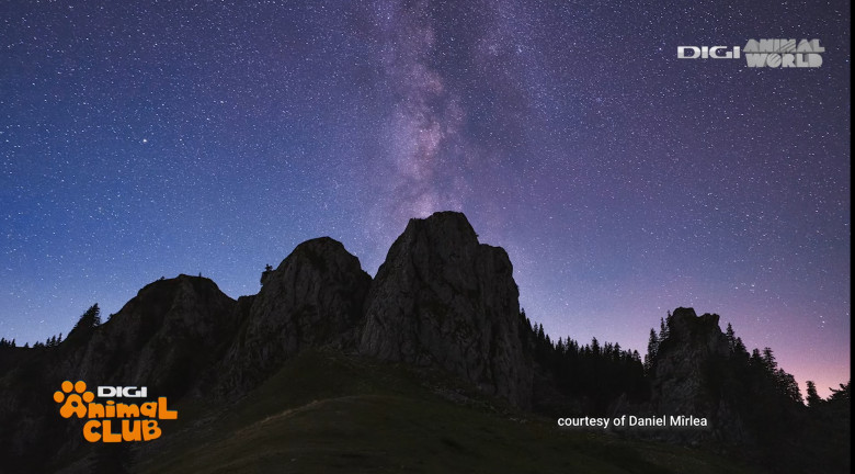 Digi Animal Club fotograf DANIEL MÎRLEA Ziua Apei 23